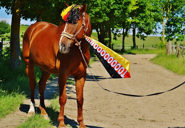 十年當中 十年當中