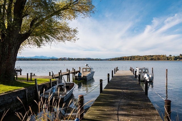 的季后赛树 的季后赛树