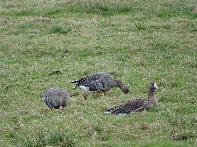条道路上跌 条道路上跌