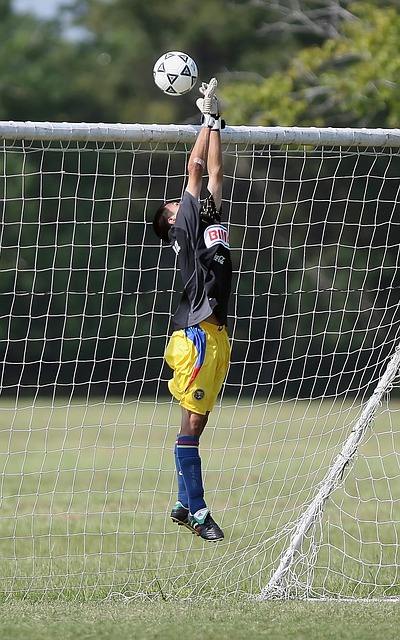 富国际经验 富国际经验