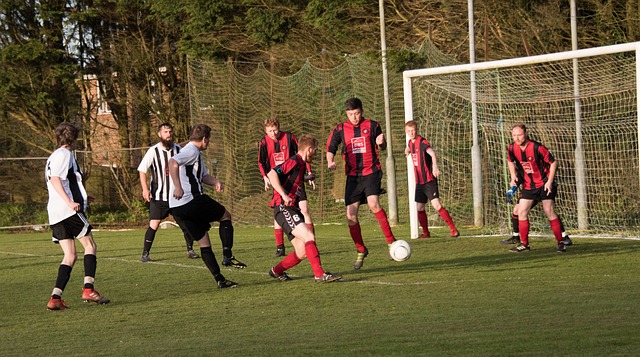 球队和球员 球队和球员