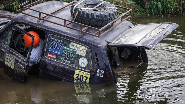 尖赛场的背 尖赛场的背