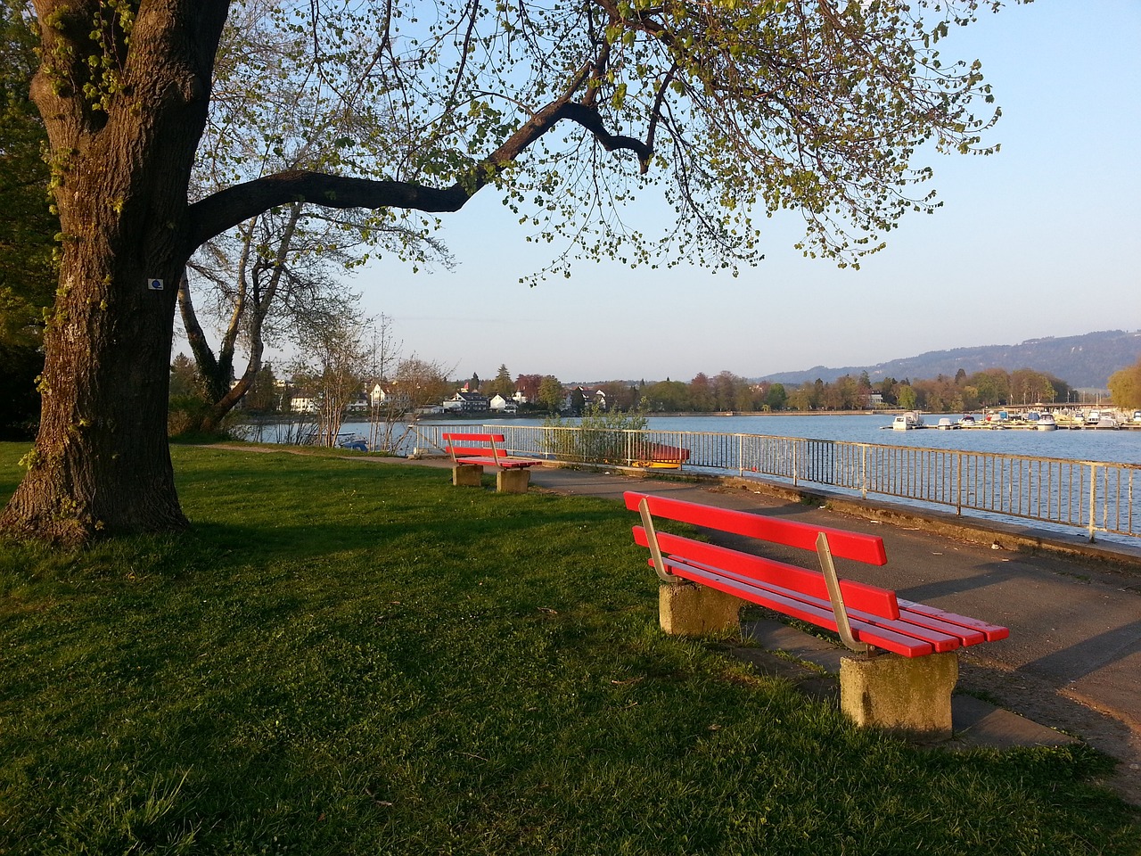 好详细的准 好详细的准